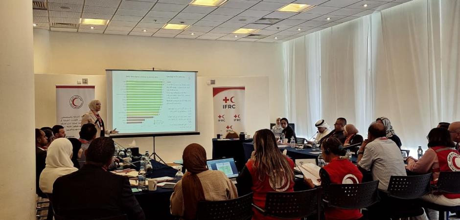 Project Tarjim Supports IFRC Regional Immunization Workshop